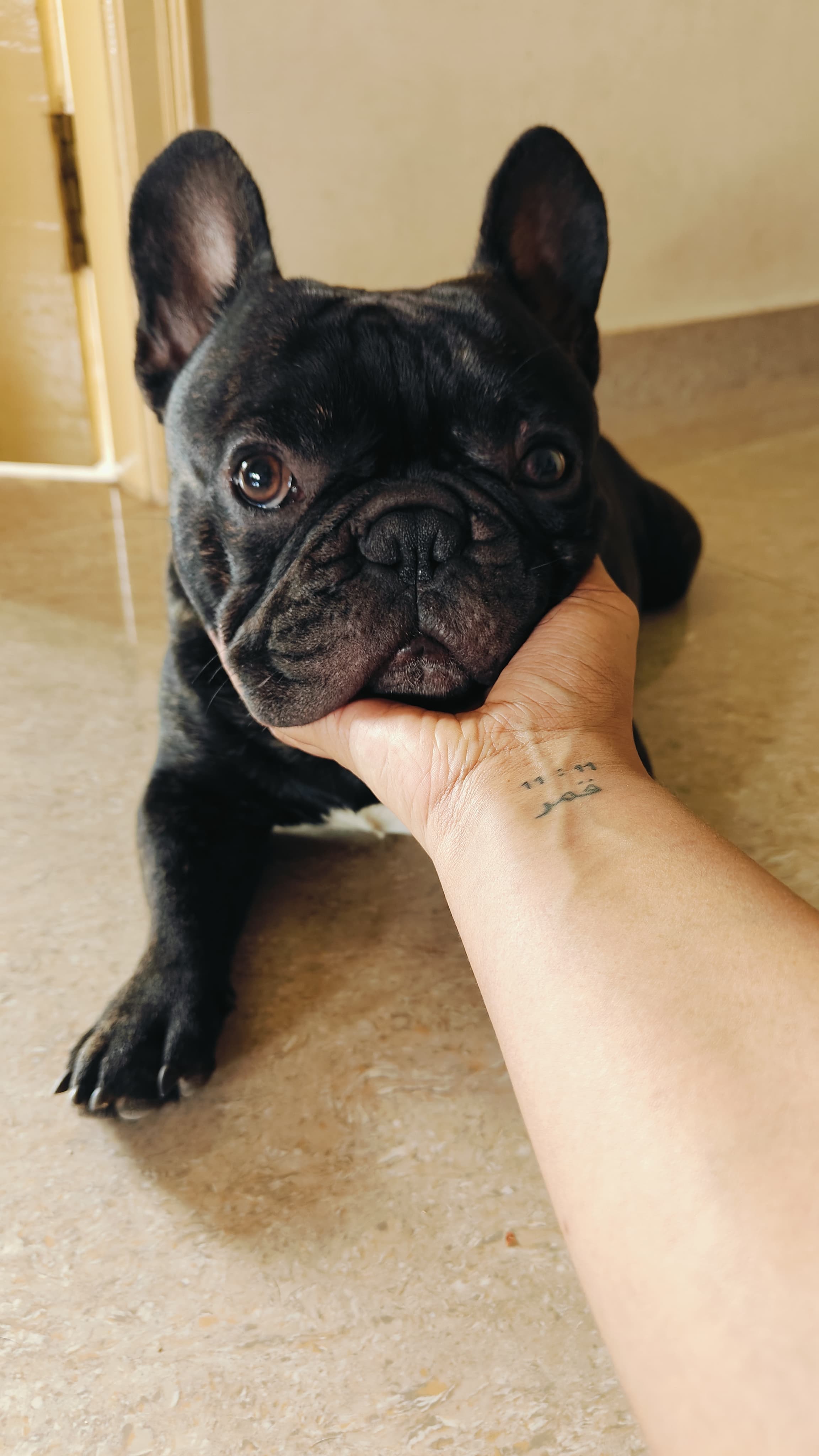 CLARITY ROBOTICS Test