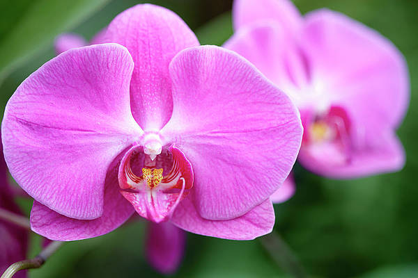 CLARITY ROBOTICS Test