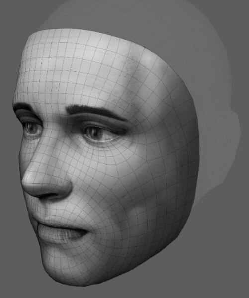 menselijk gezicht model