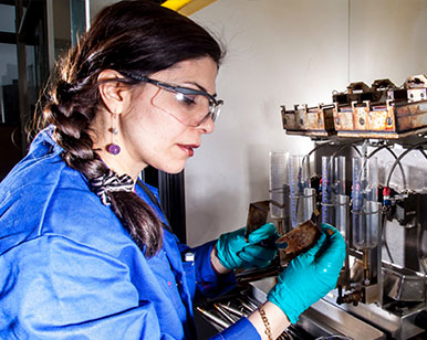 Learn about our company in the Netherlands