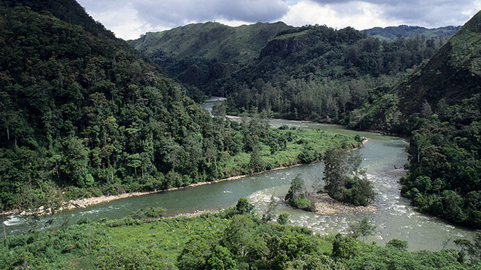 river in Equatorial Guinea 