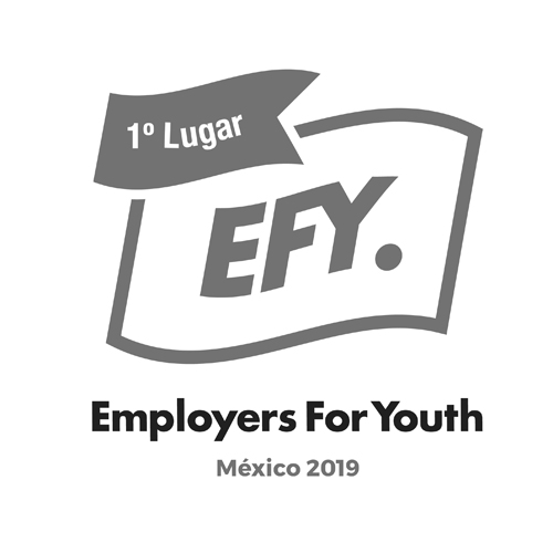 Employers for Youth