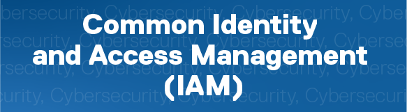 Common Identity and Access Management (IAM)