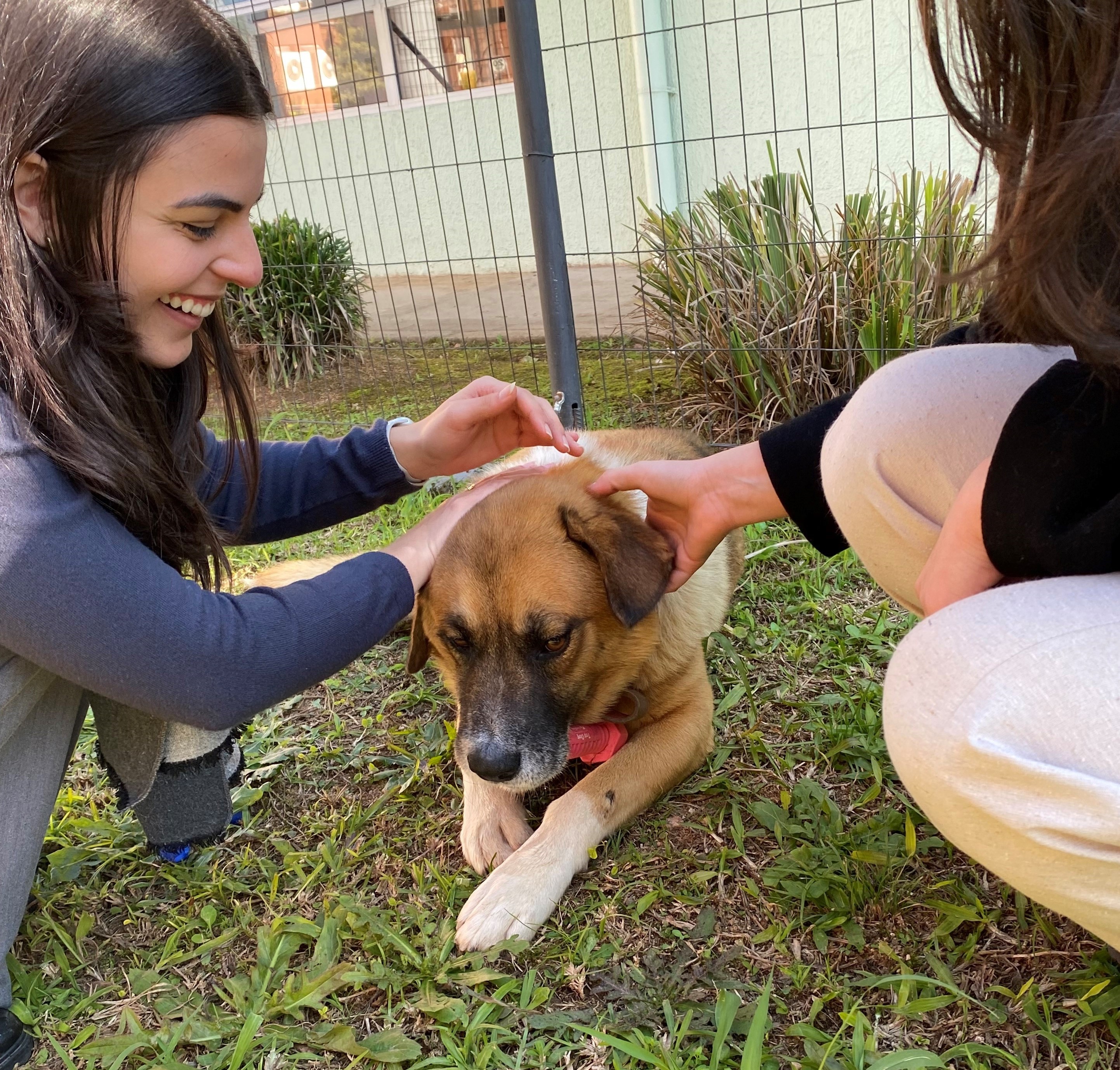 Two women petting a dog