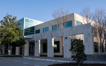 people walking in park