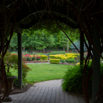 image of duke raleigh hospital's healing gardens