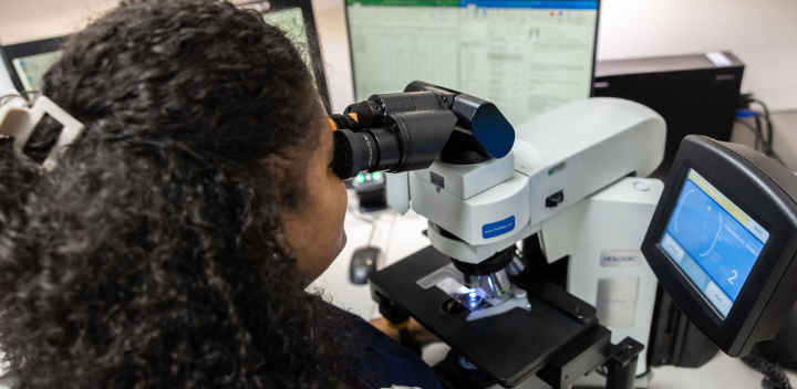 Female team member looks through microscope.