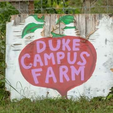 Duke Campus Farm
