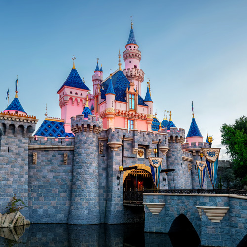 Disneyland Castle