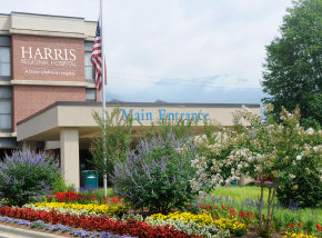 image of hospital entrance with flowers