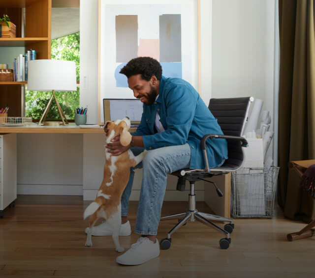 Remote worker playing with dog