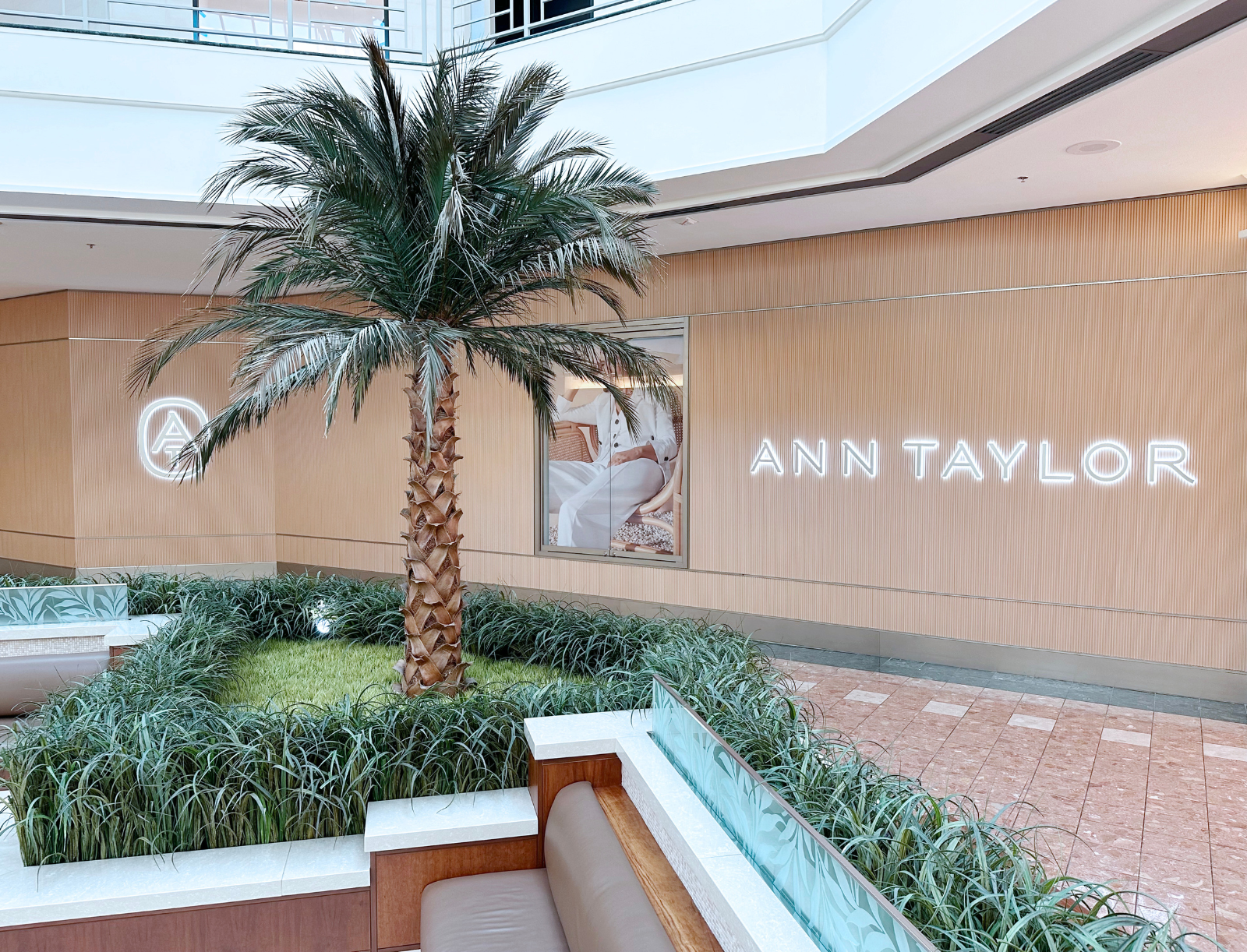 Exterior of an Ann Taylor store.