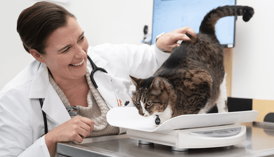 Veterinarians & Veterinary Techs