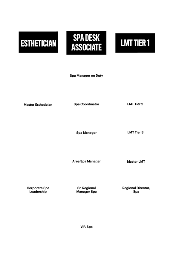 Spa Career Flowchart