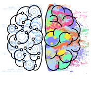 Line art drawing of a brain with colorful differences between the left and right side