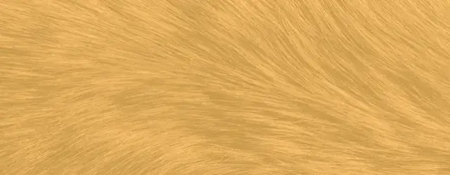 background animal hair abstract