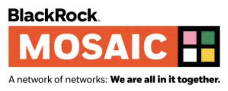 BlackRock Mosaic networks