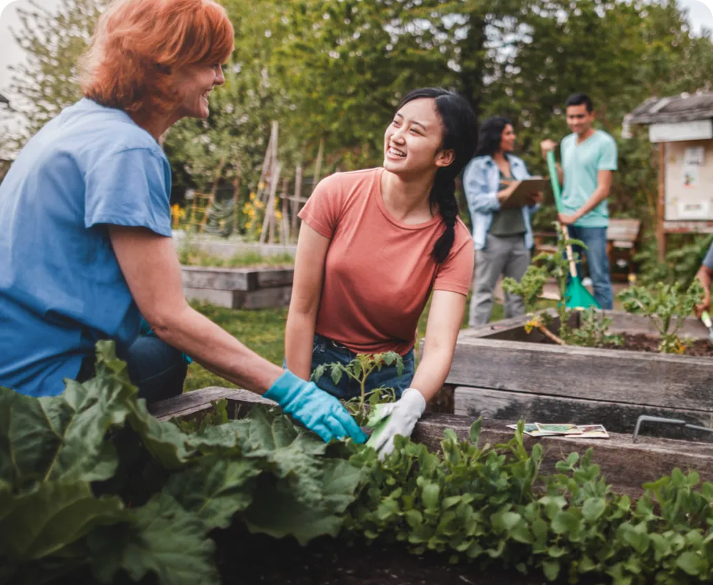 people working in a garden
