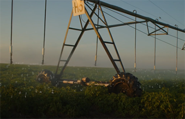 Water spraying on a field