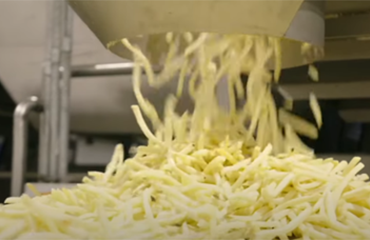 Potato being shredded