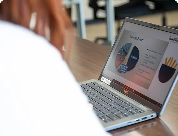 Employee looking at laptop screen