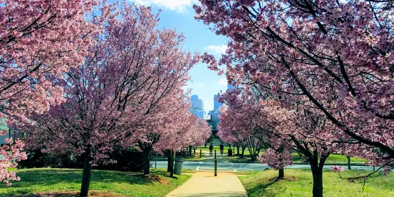 charlotte north carolina nature park