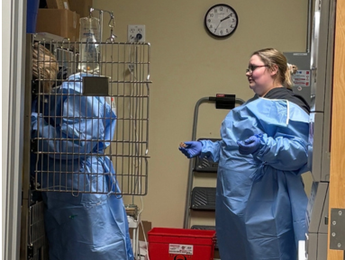 Two veterinary team members wearing blue disposable isolation gowns and gloves stand in a designated treatment area. One team member is partially visible behind a storage rack while the other faces them. The image highlights infection-control and isolatio