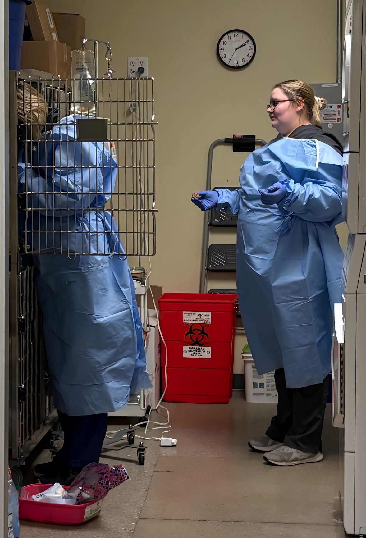 Two veterinary team members wearing blue disposable isolation gowns and gloves stand in a designated treatment area. One team member is partially visible behind a storage rack while the other faces them. The image highlights infection-control and isolatio