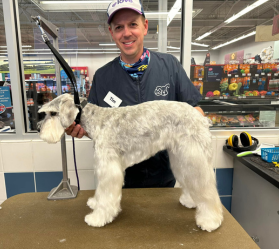 man smiling with a groomed dog