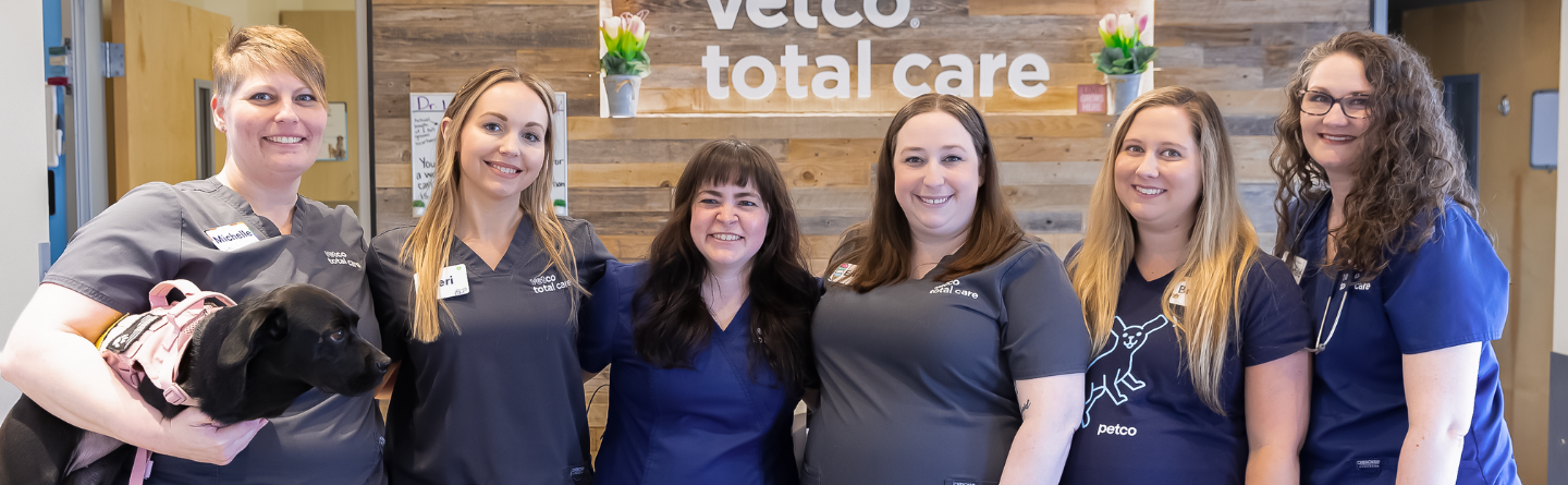 DESCRIPTION OF IMAGE