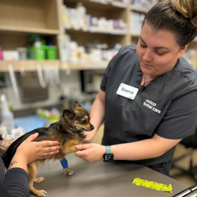 Vetco Total Care technician