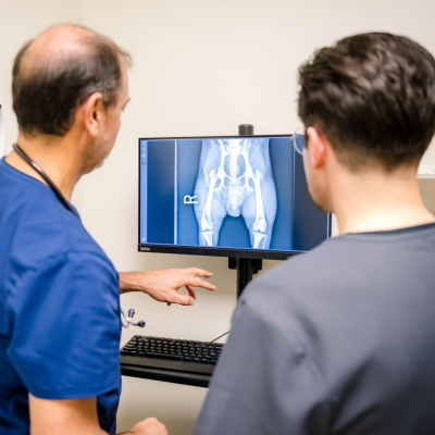 Vetco Total Care Mentorship