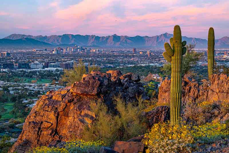 Phoenix Nature