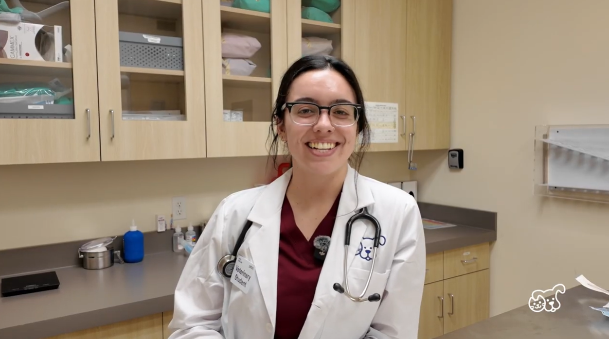 Vetco Total Care Externship