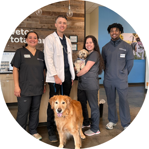 Group of smiling veterinary staff posing with two dogs