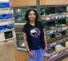 Pet store reptile display with staff member Bob.