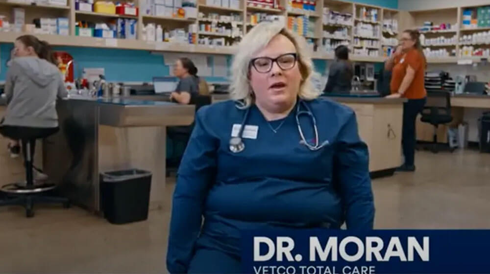 Dr. Moran sitting down talking to the camera