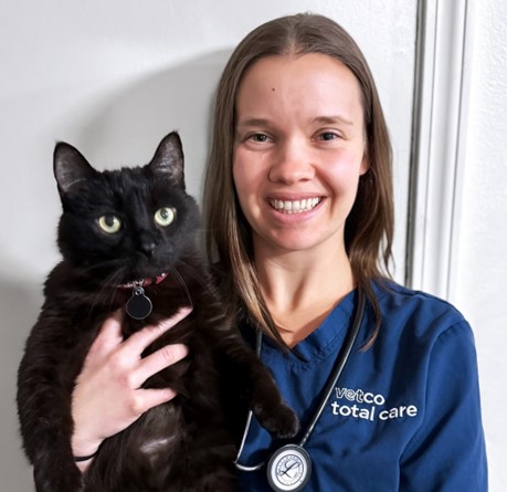 vet holding a cat