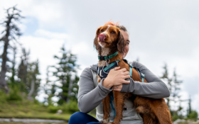 Person holding dog in outdoor setting.