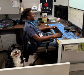 Person working with dog beside desk