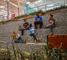 Group seated indoors near plants, banners