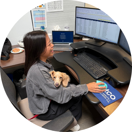 Person working with dog on lap