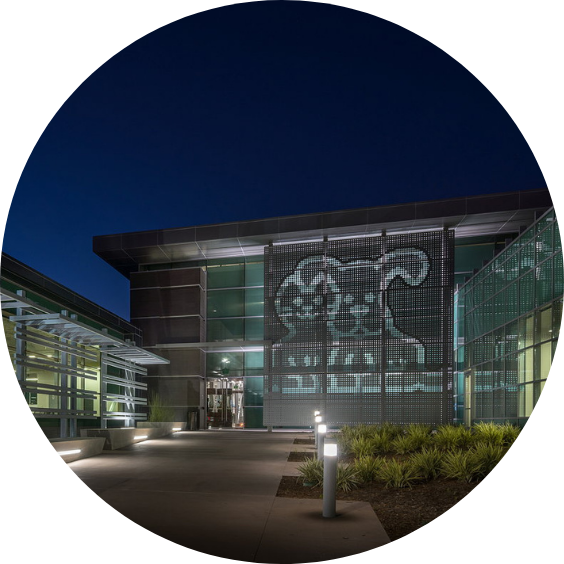 Building with illuminated dog outline facade