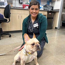 A registered vet tech kneeling on the ground behind a dog in the vet office