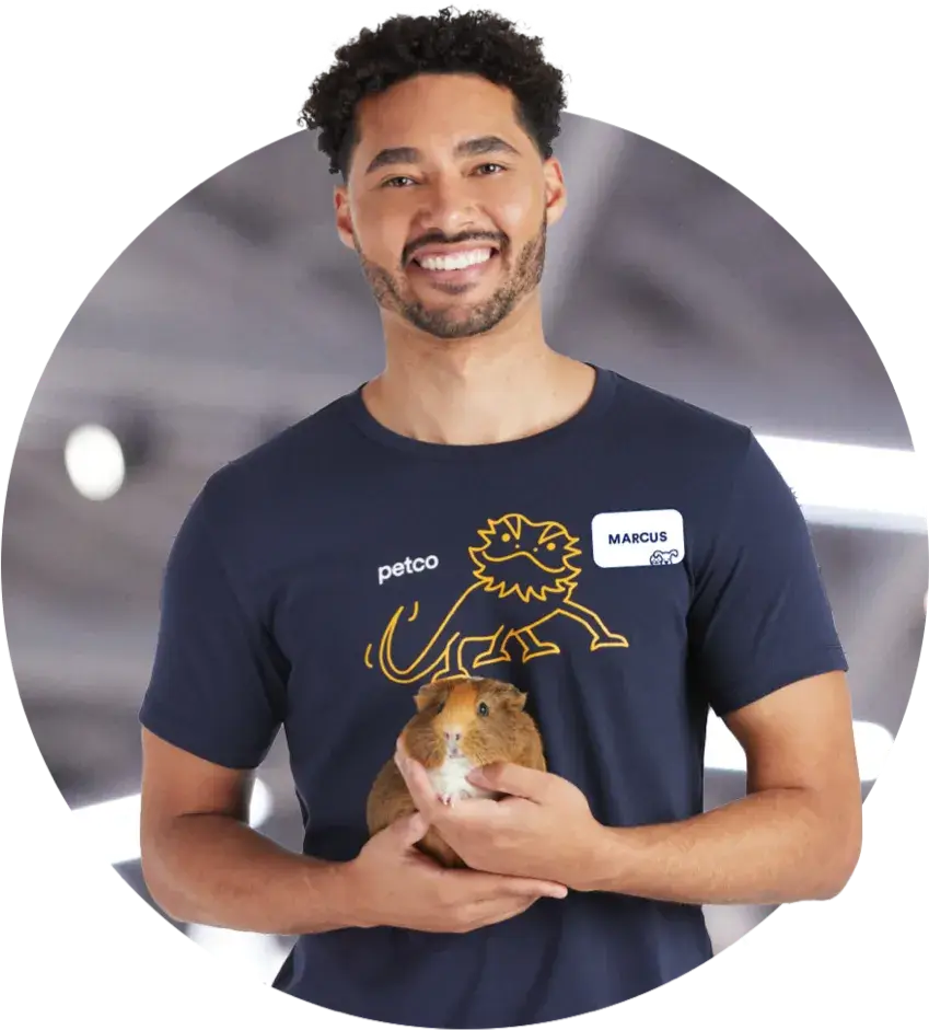 Petco employee happily holding a guinea pig