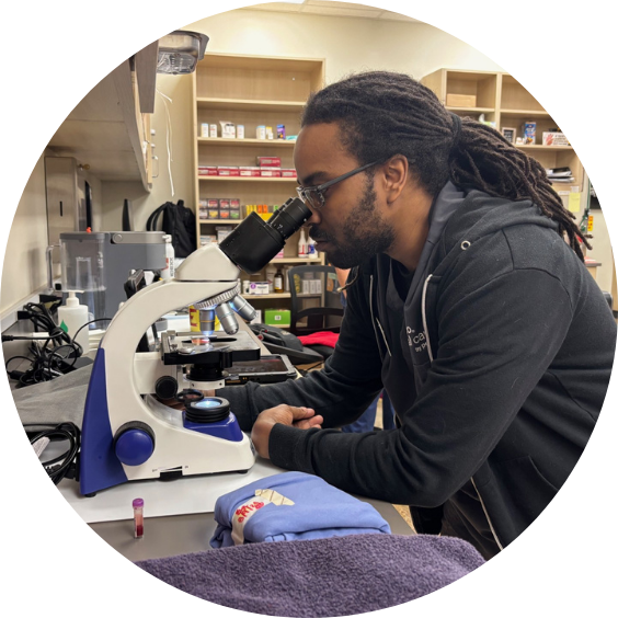 Man examining sample under a microscope.