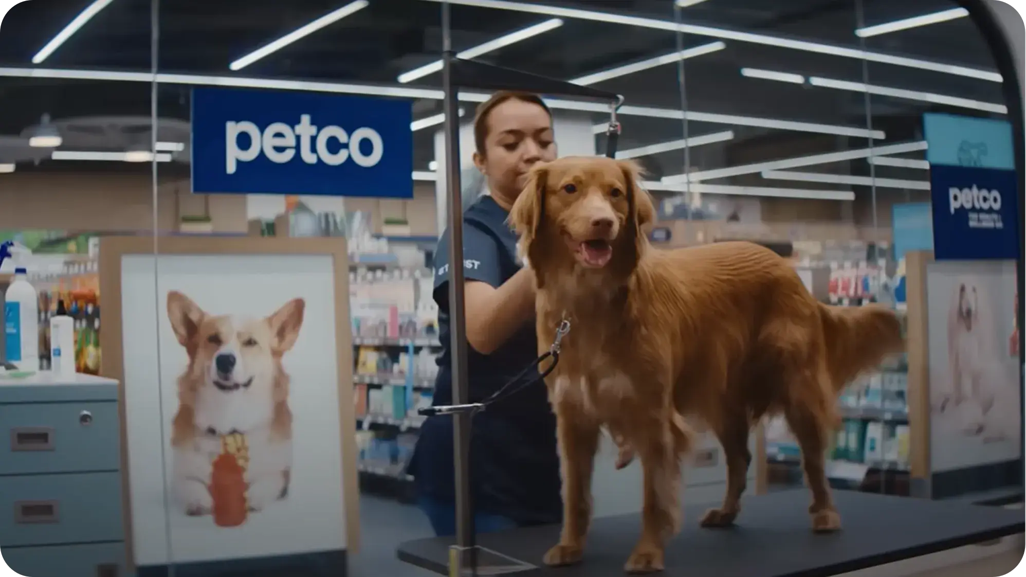 Petco Values