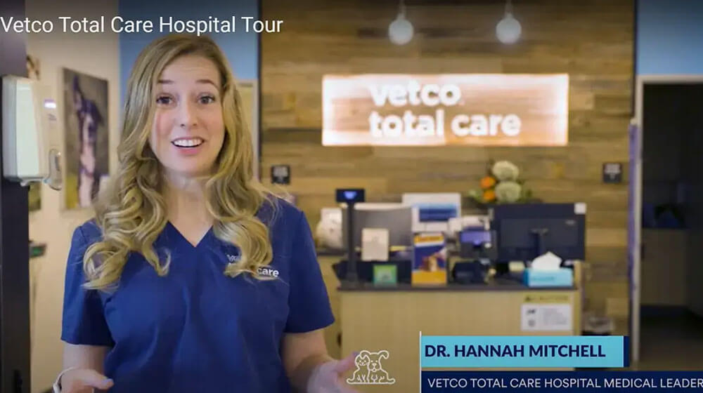 Join Dr. Mitchell for a virtual hospital tour