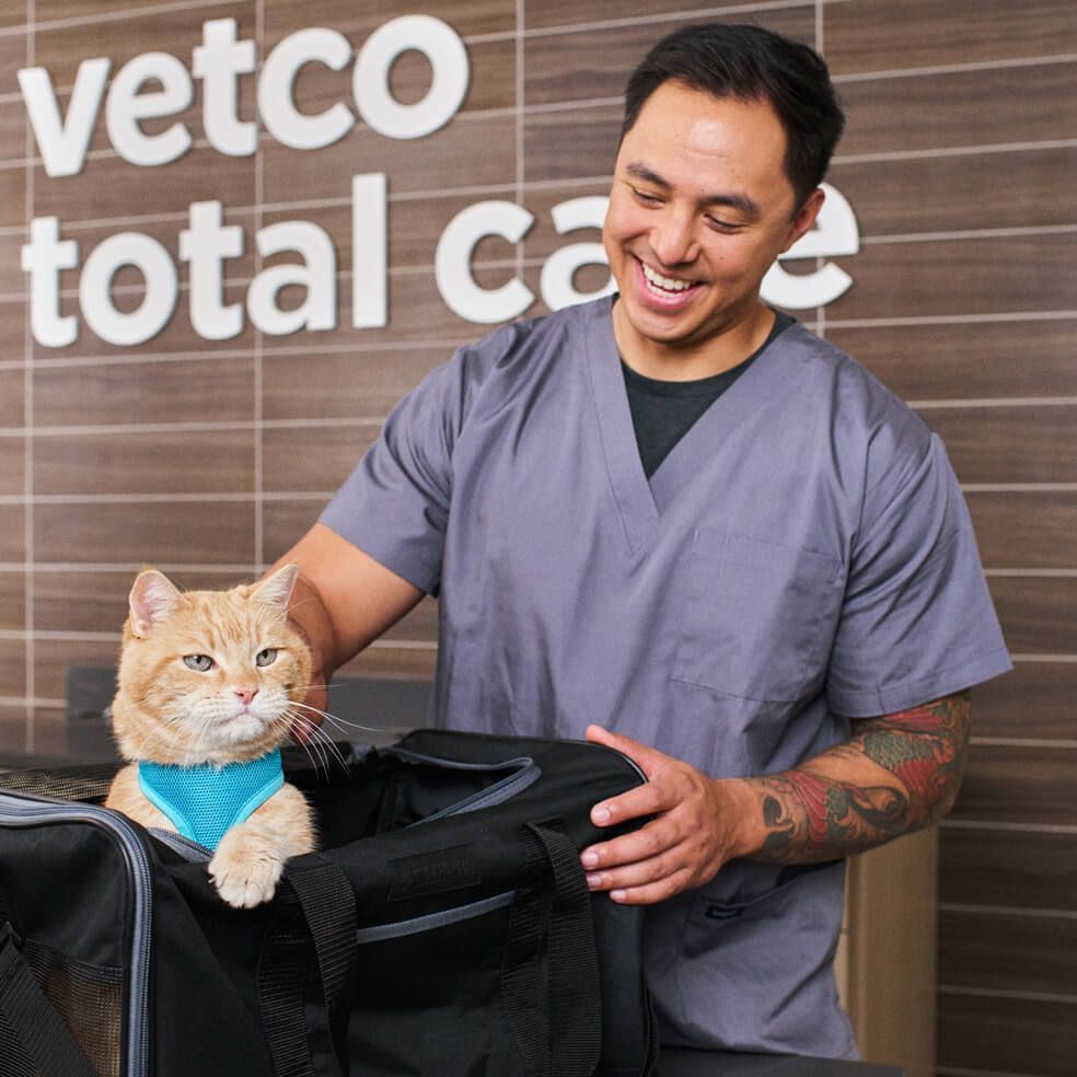 vet with a cat