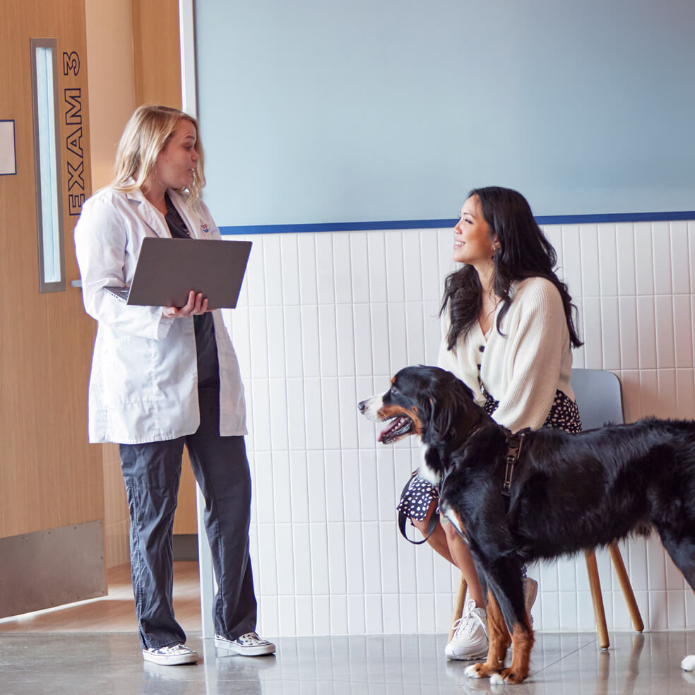 vet with dog owner and dog